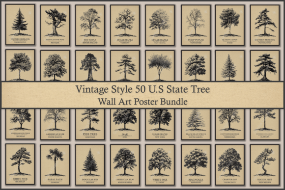 Download Vintage Style 50 US State Tree Posters - Poster Collection